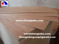 Sell Plywood