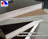 Sell Shuttering Plywood