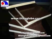 Sell Shuttering Plywood