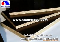 Sell Construction Plywood