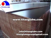 Sell Construction Plywood