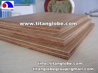 Sell Melamine Plywood