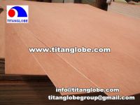 Sell 3.6mm commercial plywood