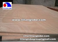 Sell PLB Plywood