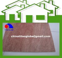 Bingtangor Plywood