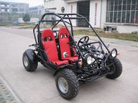 sell Go Kart(250CC)TWO SEATER