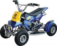 sell Mini ATV,Mini Quad,low Prive of the mini quad