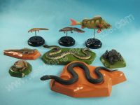 Sell A set of models of vertebrate animals (B2164)