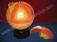 Sell Model "Structure of the Sun" (H1013)