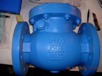 Sell (BS )Swing Check Valve