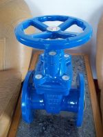 Sell (BS ) Cast Iron Resilient Gate Valve