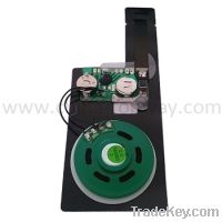 Sell sound module for greeting card