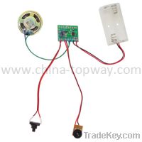 Sell sound module for pop display