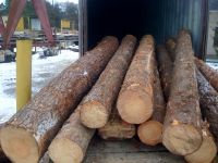 Offer Sylvestris Pine logs