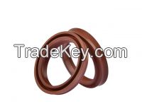 Viton Products Oil Seal