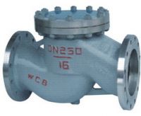 Lift check valve