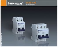 [HOT SELL] HL30-100 Isolation switch