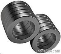 Sell Strong NdFeB magnets with big Ring Shape