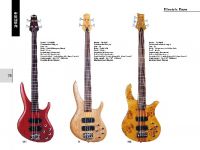 Electric Bass