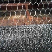 Sell Hexagonal wire Netting