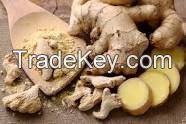 Indian Dried Ginger