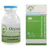 Sell Recombinant Human Serum Albumin (OsrHSA)