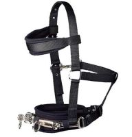 Selling Quality Halters