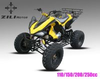 ATV (quad bike)