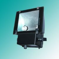 Sell Flood Light(R7S)