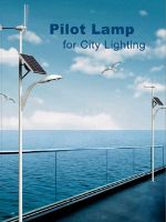 Sell Wind & Solar Dual Energy Street Light