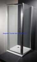 Sell shower room-pivot door