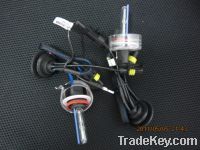 Sell H11 HID Bulb