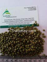 Whole Green Moong Beans