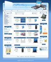 Sell Professional Web Store Design & Installation Package