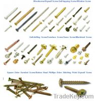 Sell metal fastener-screw