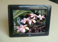8 inch basic digital photo frame with digital panel (QYDP-800)