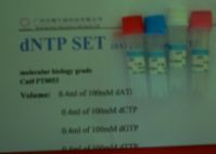 dNTP Sets (dATP, dGTP, dCTP, dTTP)