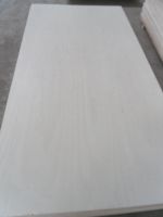 Bleached Poplar Plywood