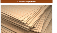 Commercial Plywood