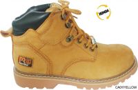 working shoes safety shoes CA011