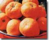 Sell Fresh Mandarine Orange
