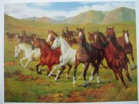 Sell animal oil painting