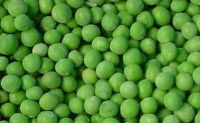 Sell Frozen Green Peas