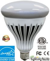 Energy Star R40 LED Lamp Dimmable