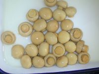 Sell canned mushroom 2840g