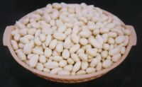 supply blanched peanut kernel