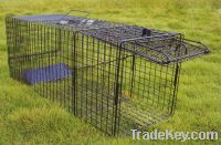 Raccoon Animal Trap different sizes