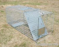 30"Collapsible Double-door Dog Crate