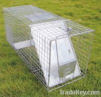 squirrels animal cage trap for sale