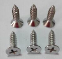 Stainless Tapping Screws